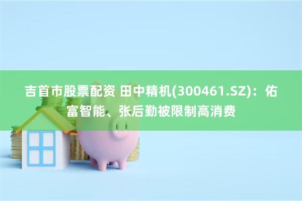 吉首市股票配资 田中精机(300461.SZ)：佑富智能、张后勤被限制高消费