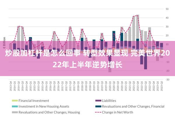 炒股加杠杆是怎么回事 转型效果显现 完美世界2022年上半年逆势增长