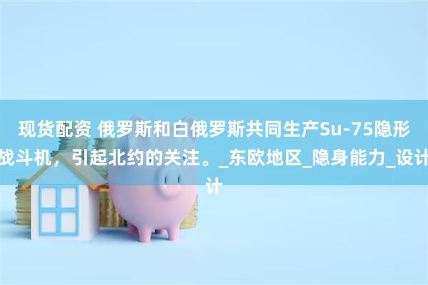 现货配资 俄罗斯和白俄罗斯共同生产Su-75隐形战斗机，引起北约的关注。_东欧地区_隐身能力_设计