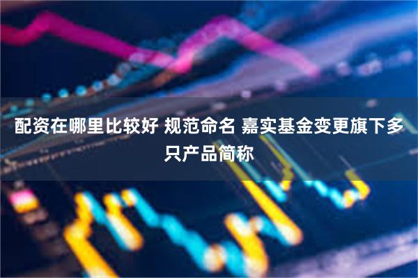 配资在哪里比较好 规范命名 嘉实基金变更旗下多只产品简称