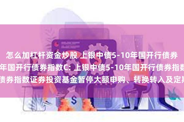 怎么加杠杆资金炒股 上银中债5-10年国开行债券指数A,上银中债5-10年国开行债券指数C: 上银中债5-10年国开行债券指数证券投资基金暂停大额申购、转换转入及定期定额投资业务的公告